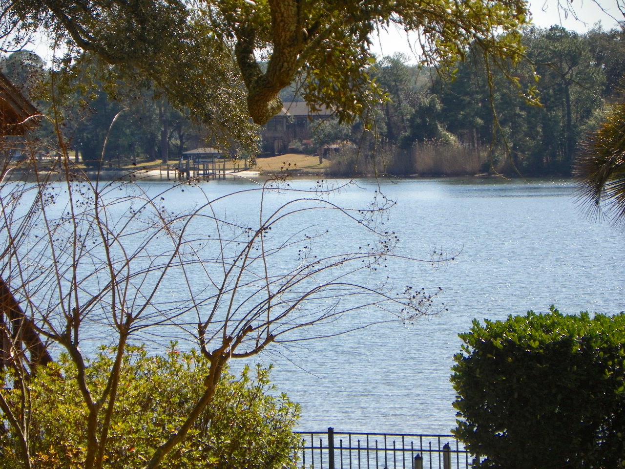 Neighborhood Profile Cordova Park Real Estate