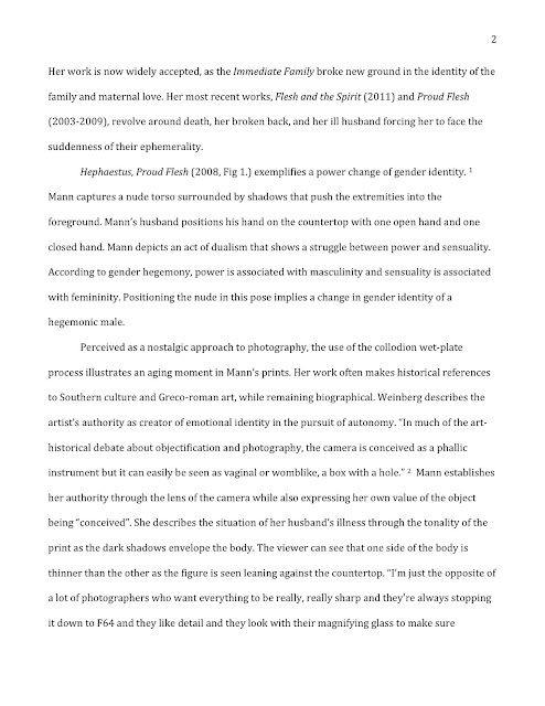 gun rights essay lawyers in virginia