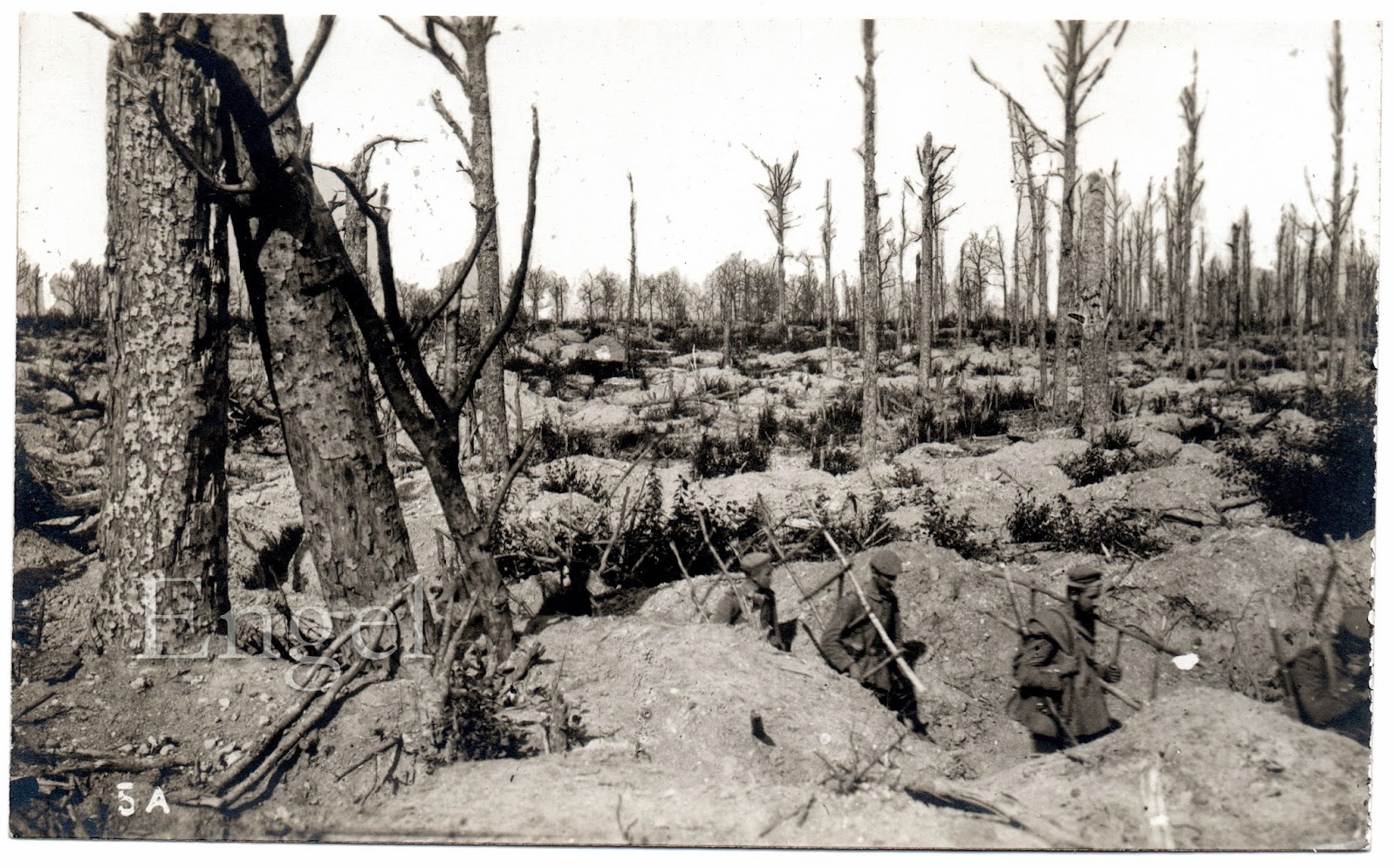 Great War Postcards Trench Ladders