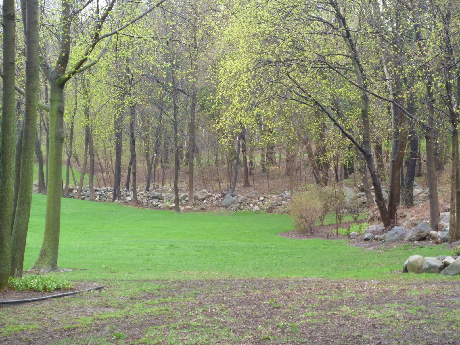 Homes for Sale in Farmington Hills MI Blog Subdivision Forestbrook