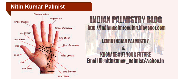 Palm Reading Basics Pdf