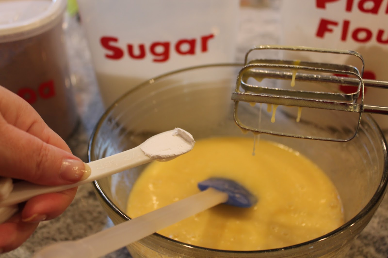 Dinner with the Grobmyers Chocolate Chip Brownies