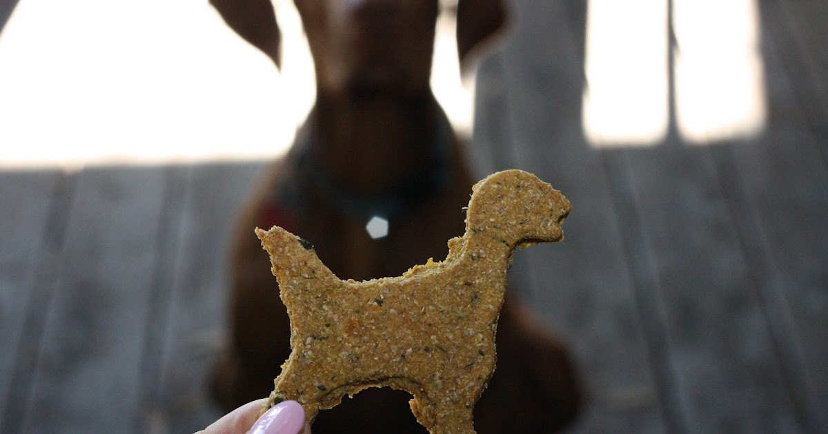 It's A Vizsla Thing Homemade Dog Treats