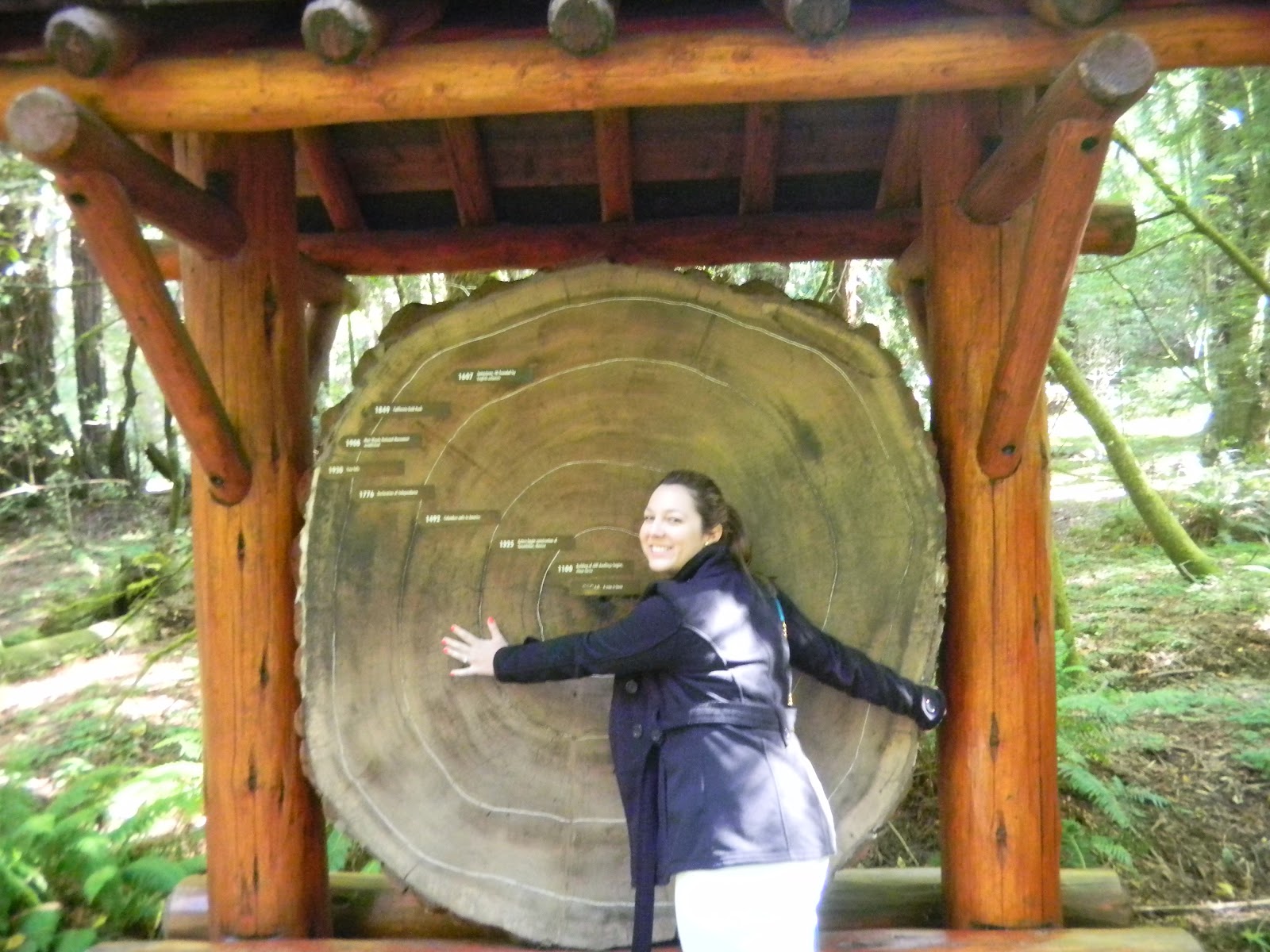 Mind My Beeswax My DIY Try Tree Rings Pillow Turned Wall Art
