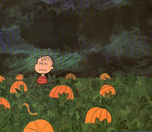 Image result for linus in pumpkin patch