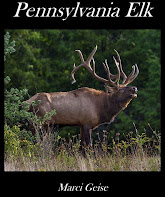 "Pennsylvania Elk" book