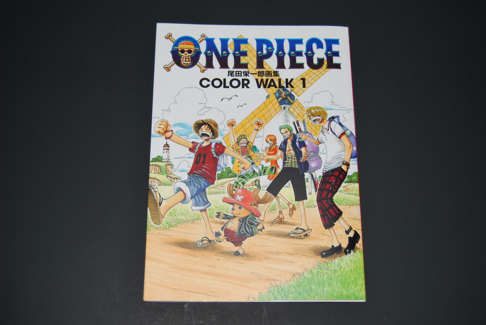 ARTBOOK PASSION BOOK REVIEW ONE PIECE COLOR WALK VOL.1