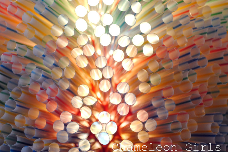 Drinking Straw Lamp Shade{Chameleon Girls}