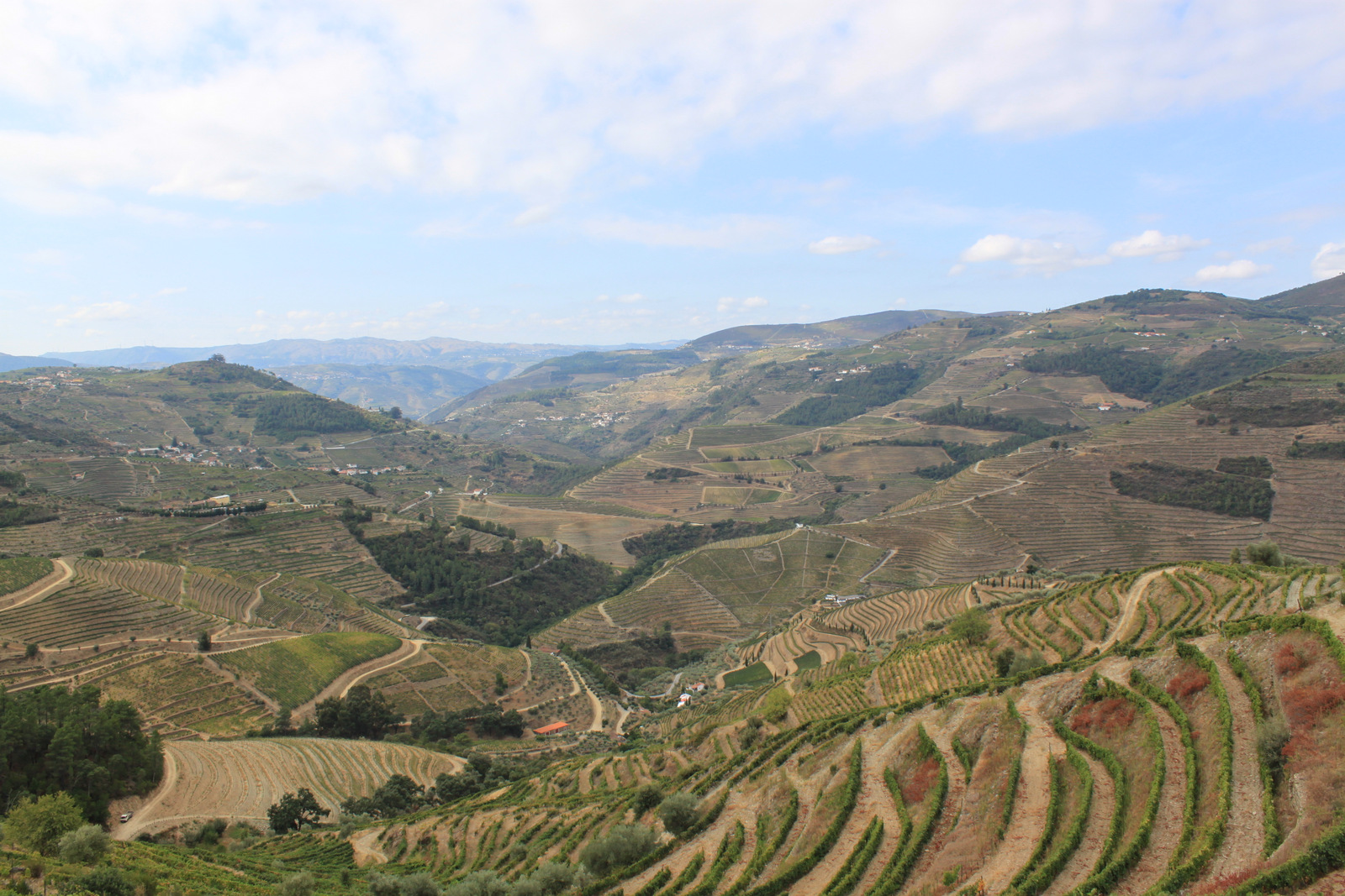 Vallée du Douro