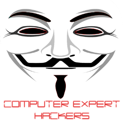 Computer Expert Hackers