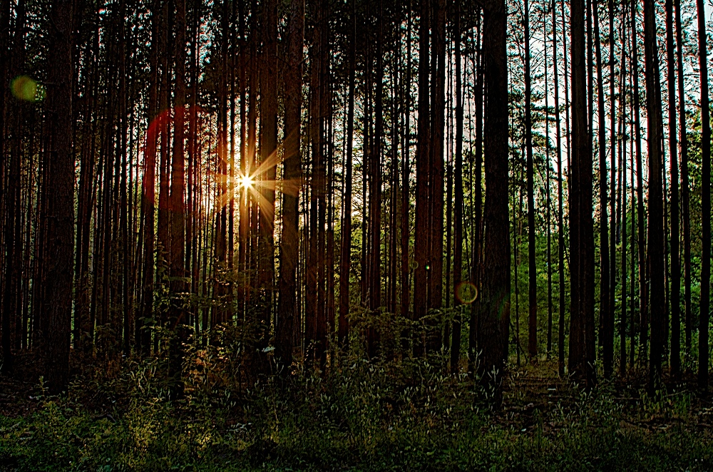 Guten Morgen - Ein nicht endender Teufelskreis 2 Bernau LIVE - Dein Stadtmagazin für Bernau bei Berlin