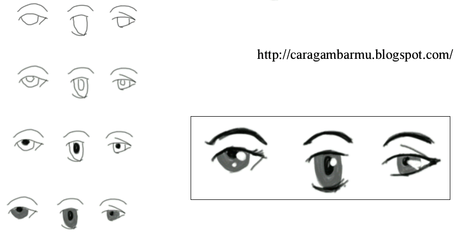 Cara dan Teknik Menggambar untuk Pemula: Bentuk mata dalam Manga