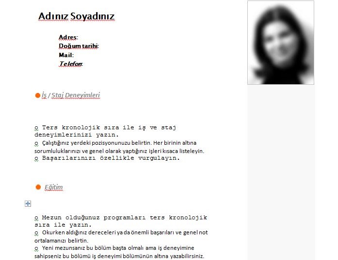Cv Ozgecmis Hazirlama Turkce Cv Ornegi Ozgecmis Hazirlamaniz Da Buyuk Yardim Dokunacak Word Halinde Ozgecmis Ornegi