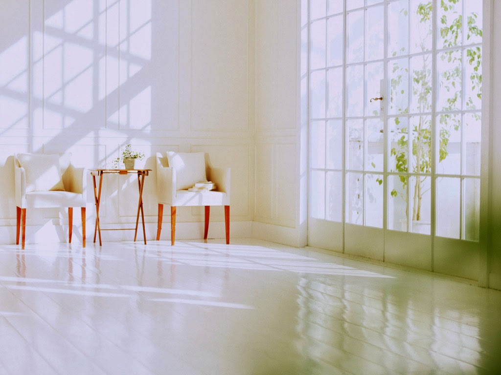 Squeegee Squad of Atlanta Let in More Sunshine This Spring with Squeegee Squad