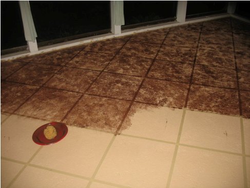 Porch And Floor Paint Walmart Porch And Floor Paint Walmart
