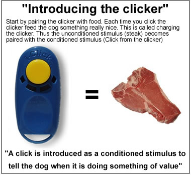 Training Clicker