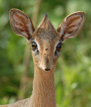 gratis dejting utan medlemskap kostnad