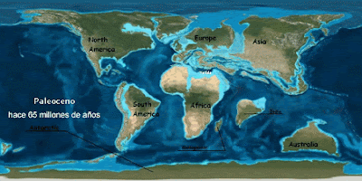 Paleo mapa del Paleoceno