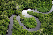 A la fecha el Amazonas se encuentra entre los 14 mejores votados de 28 .