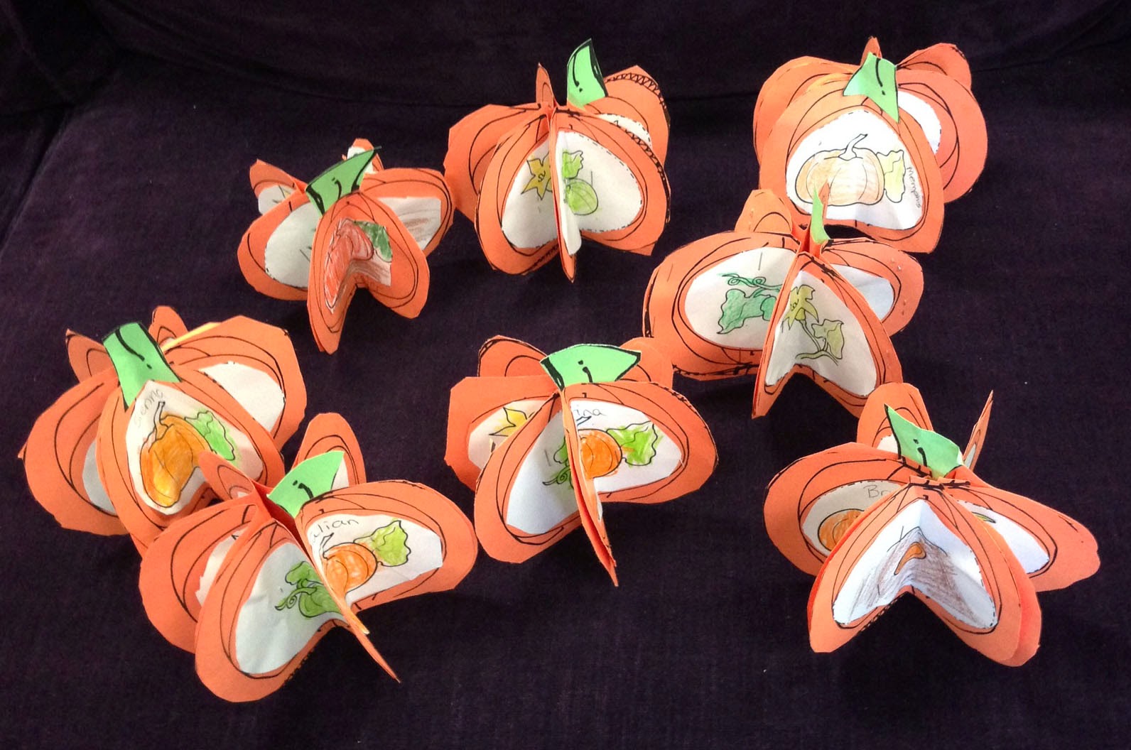 Pumpkin Life Cycle Fun!!!! - savvy teaching tips