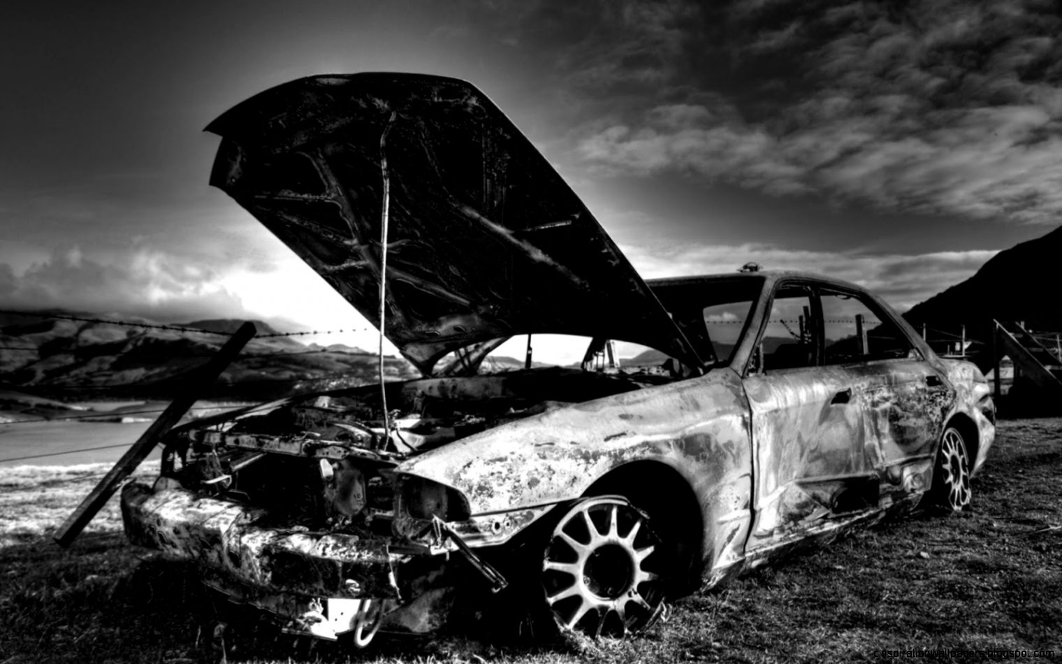 Photos of Black and White Photos of Black and White