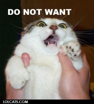 lolcat-do-not-want.jpg