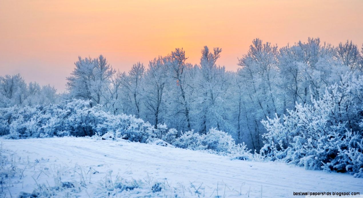 Winter HD Desktop Wallpapers for Widescreen Winter HD Desktop Wallpapers for Widescreen