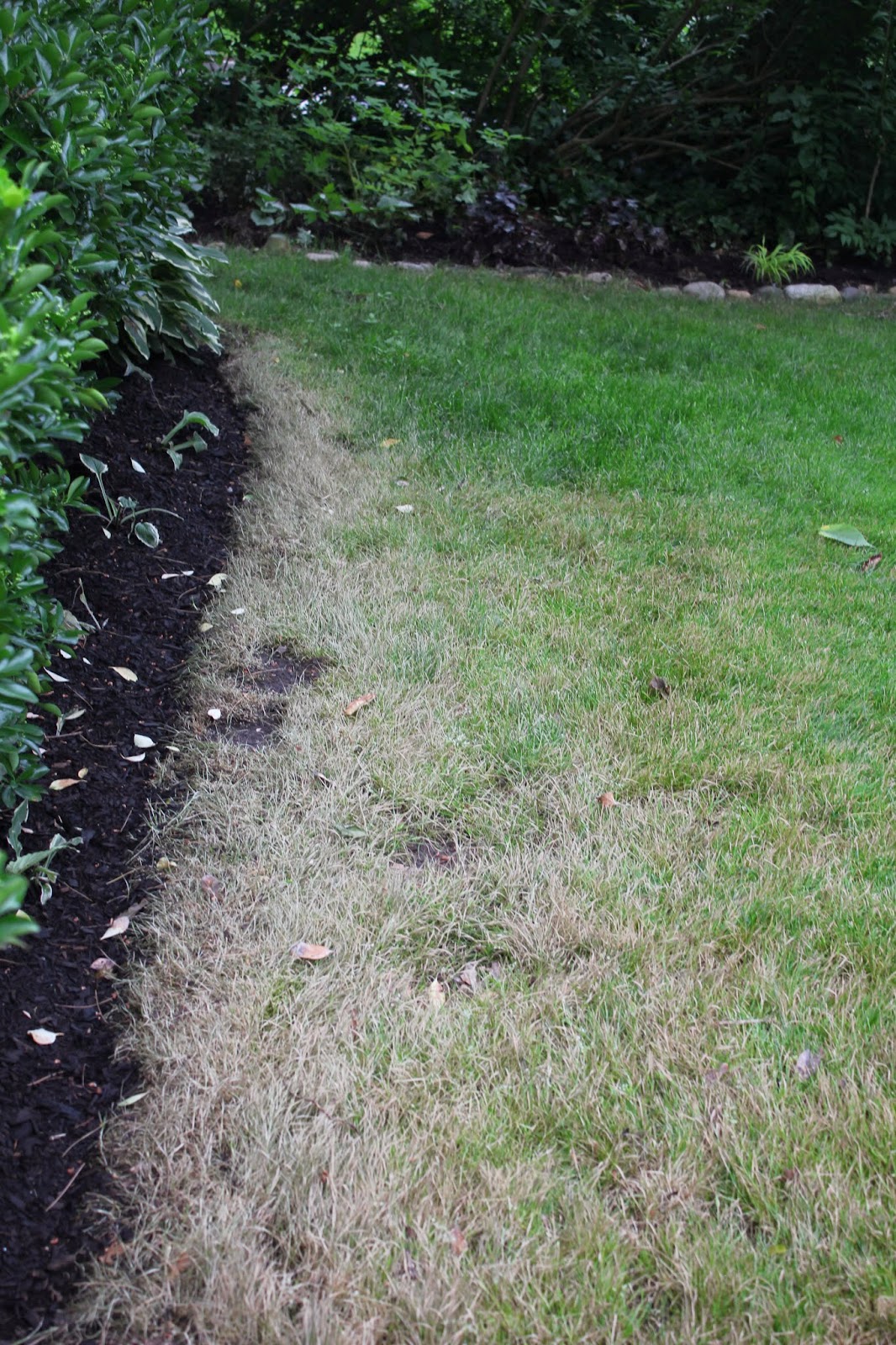 Gardening and Gardens Sour Mulch and It's Devastating Effects