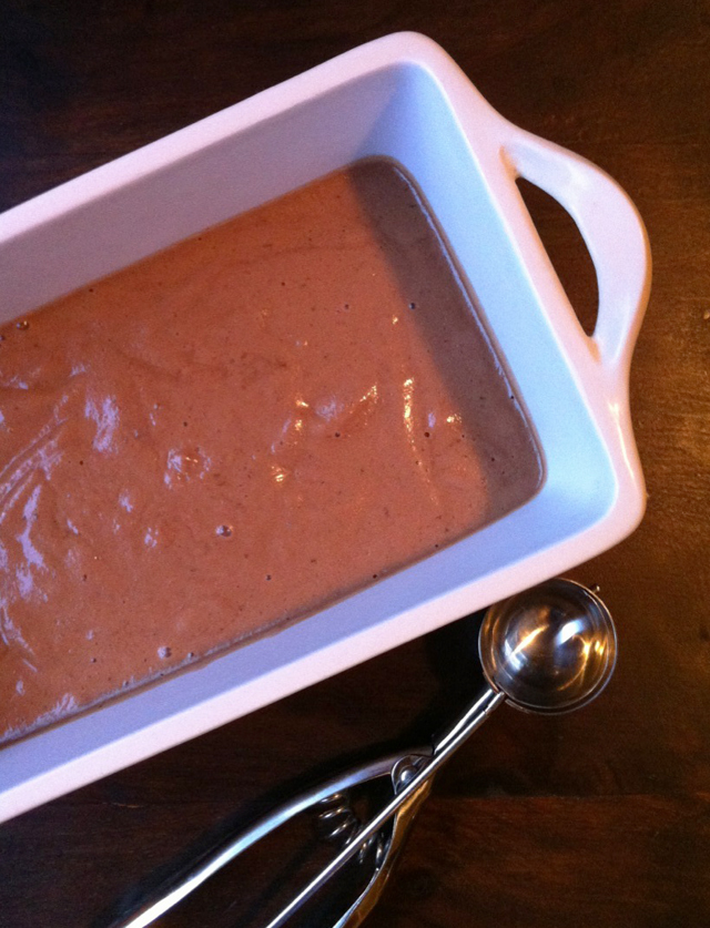 A Simply Raw Life CHOCOLATE ALMOND MILK ICE CREAM