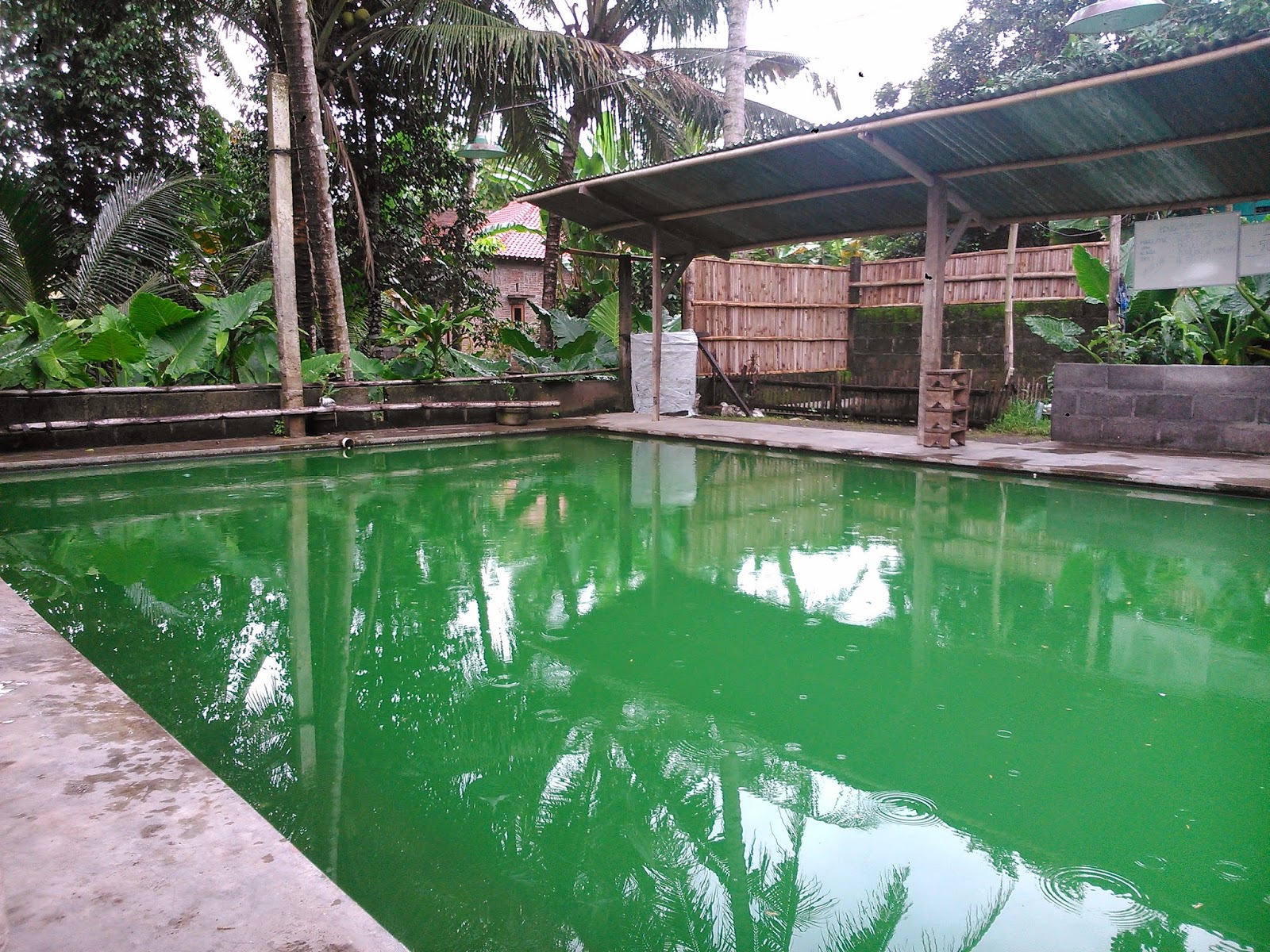 Ndukseng Shadow Of Doubt Pemancingan 521