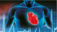 Οι δύο βασικές αιτίες που πυροδοτούν τα καρδιαγγειακά - Τι δείχνουν νέες μελέτες
