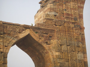 Pigeons and parakeets nestle in the wall crevices of the "Qutub Minar Complex".