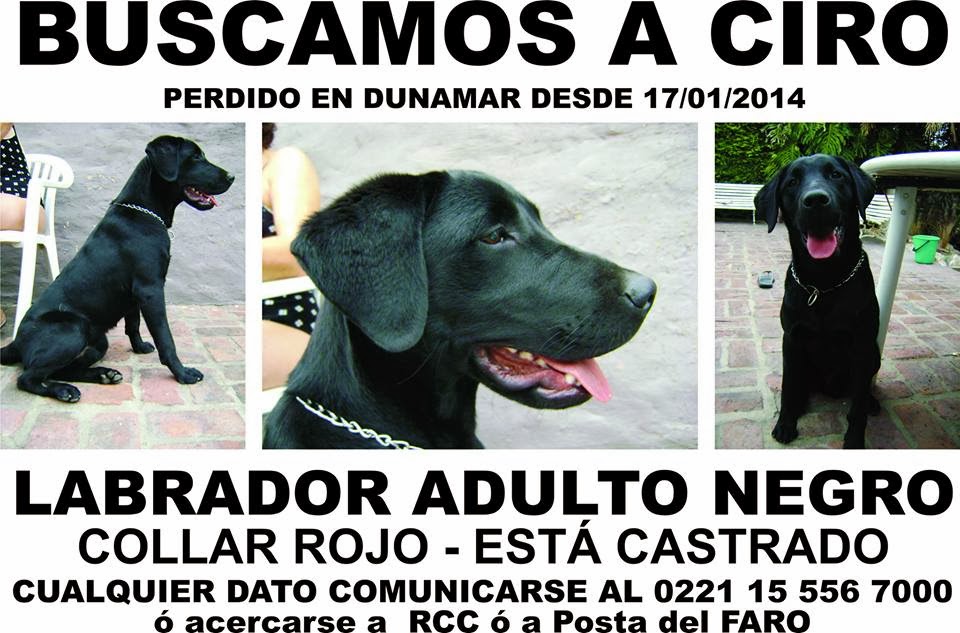 perdido en dunamar/claromecó