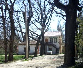 Аллея дубов ведущая к дому де Серра в Симферополе