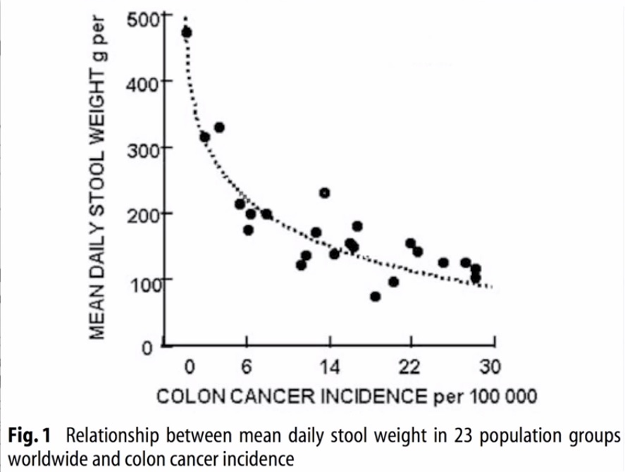 Self Health Guide Healthy Bowel Movements