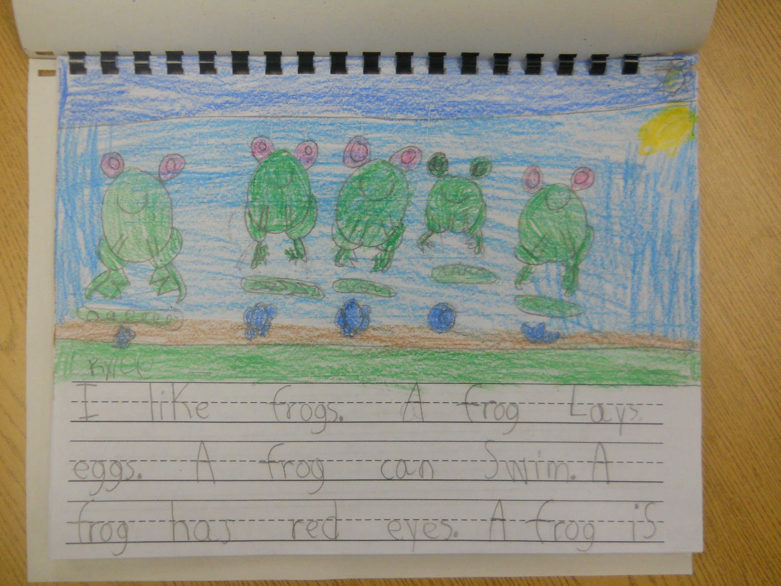 Frog sentence for class 2 picture