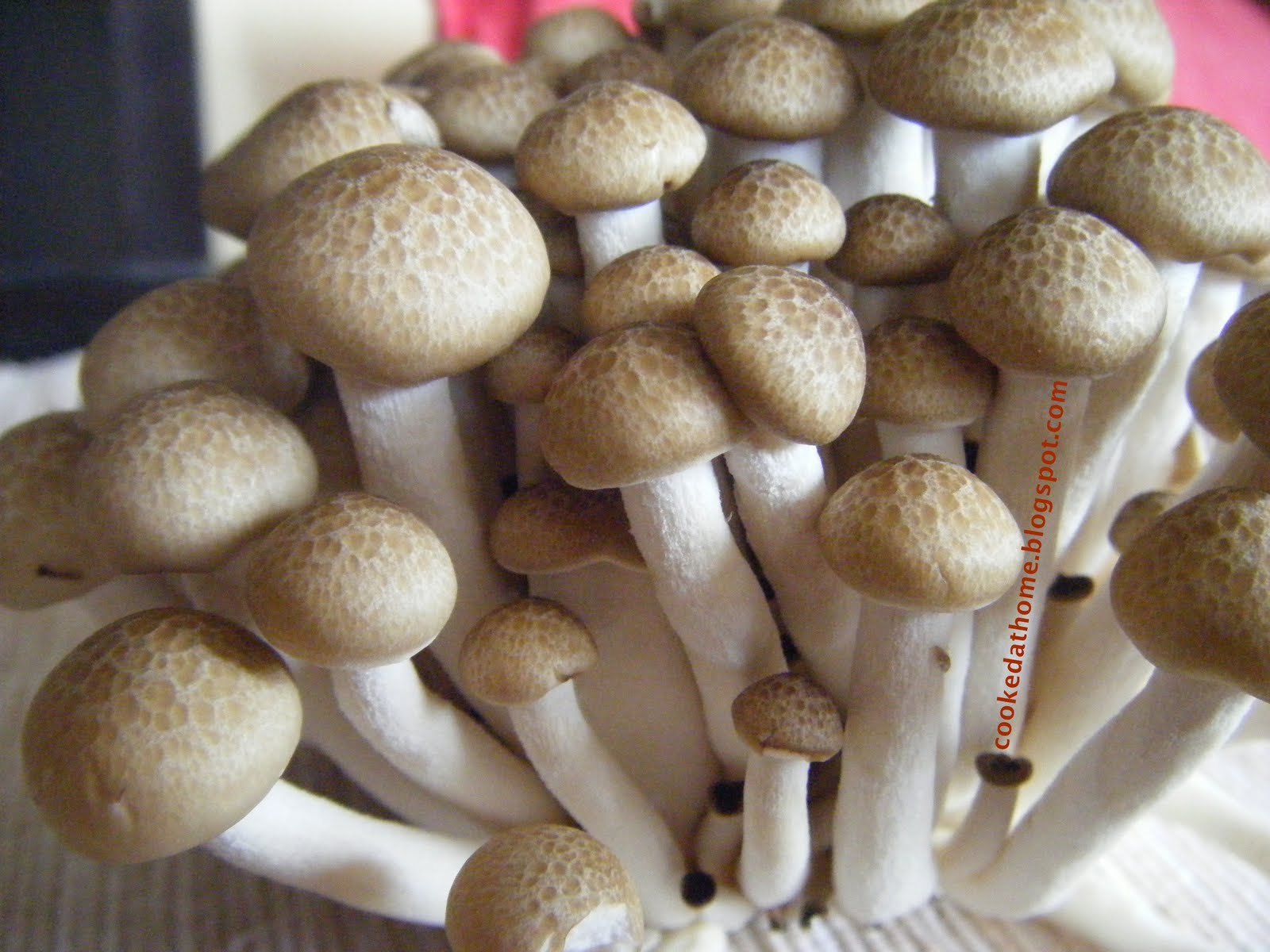 Cooking @ Home: Shimeji Mushroom Linguine
