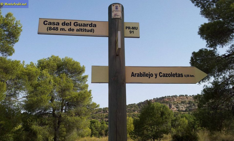 YECLA MONTE ARABI ARTE RUPESTRE yecla monte arabi arte rupestre: