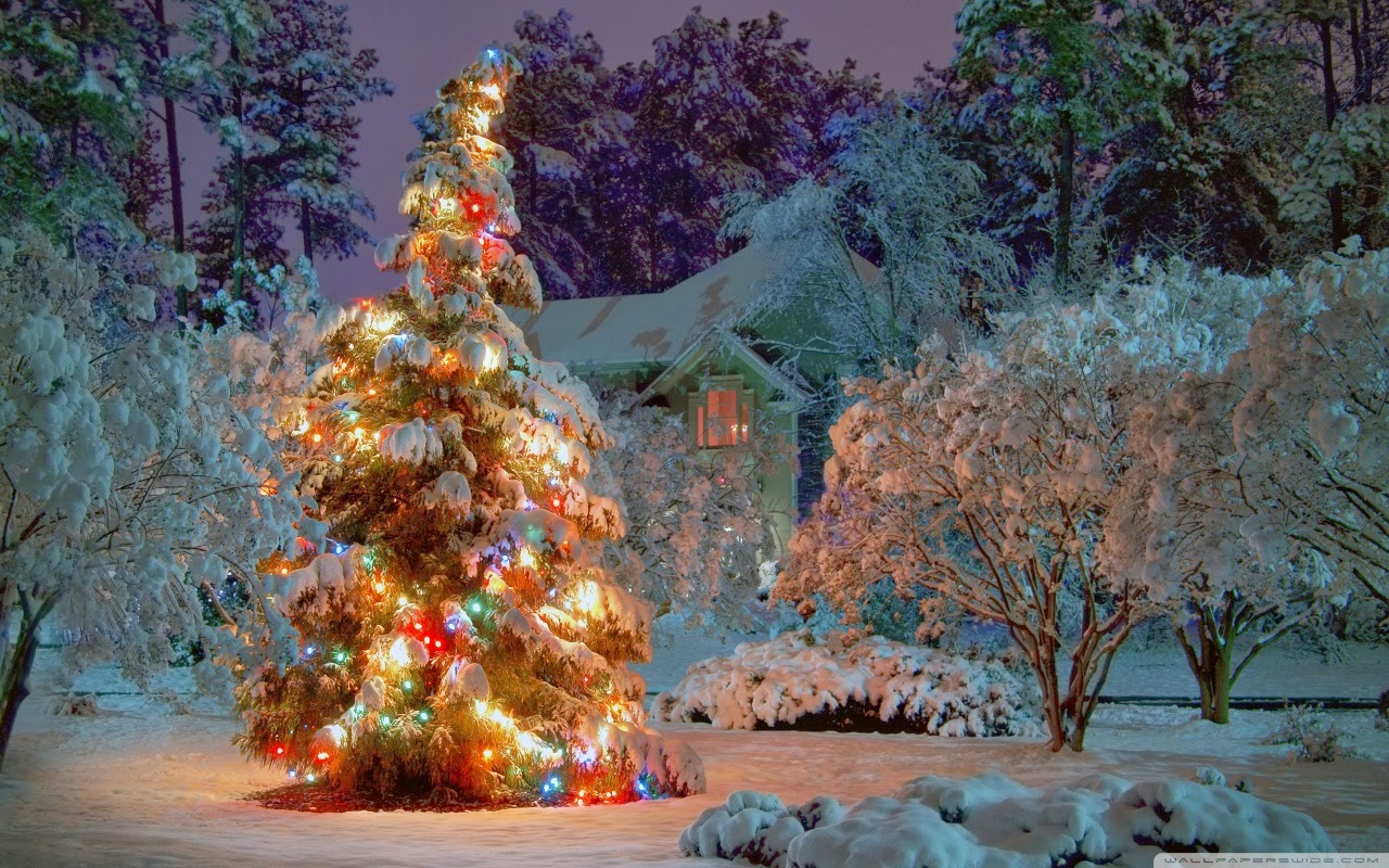 Weihnachtsbilder: Weihnachtswallpaper