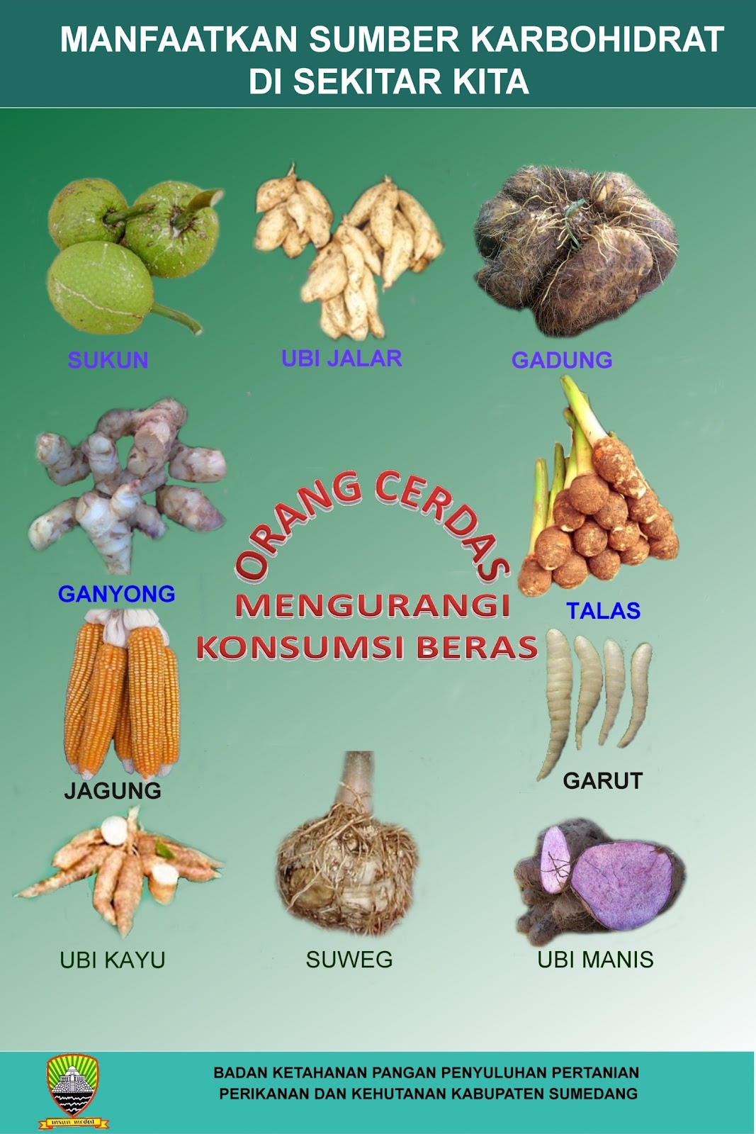 Ketahanan Pangan Dan Penyuluhan Juli 2012