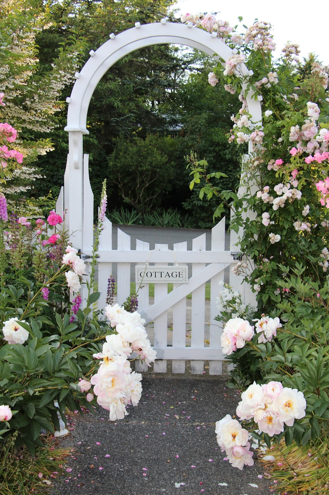 Fishtail Cottage Garden 6/1/15