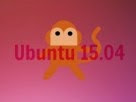 Ubuntu 16.04 LTS x64