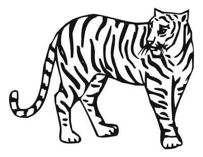 Posted in Animal Drawings Animal Print Black and White Drawings 