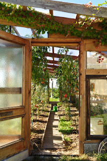 Winter in the Greenhouse