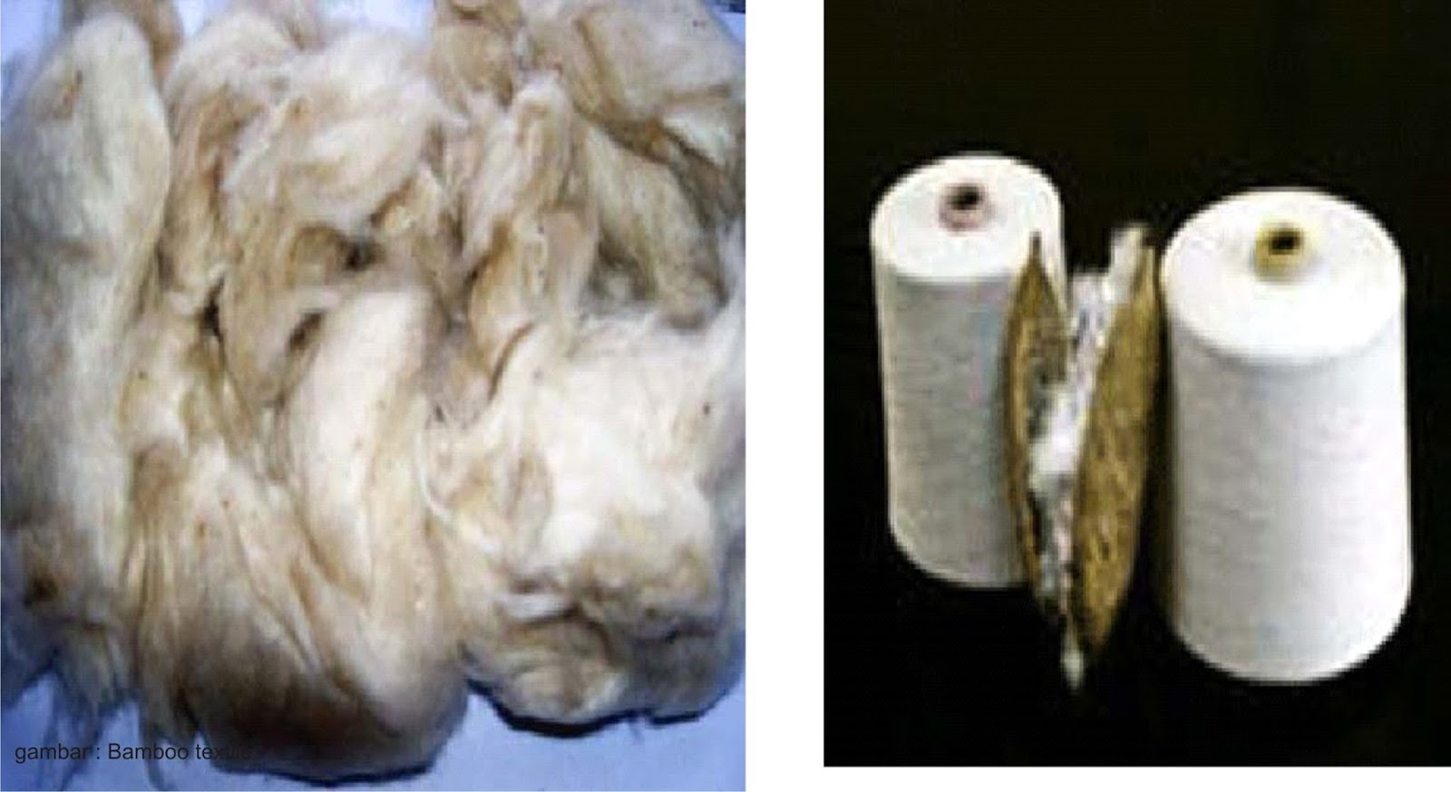 Bahan Alat Penangkap Ikan Dari Serat Alami Tumbuhan ~ AanBLOG