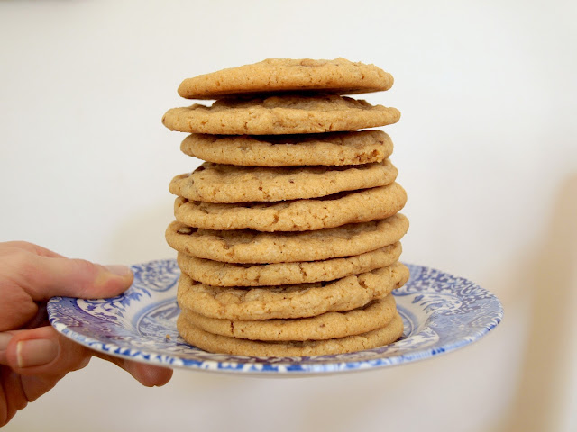 Chocolate Chip Peanut Butter Oatmeal Cookies | Pavlova's Dog
