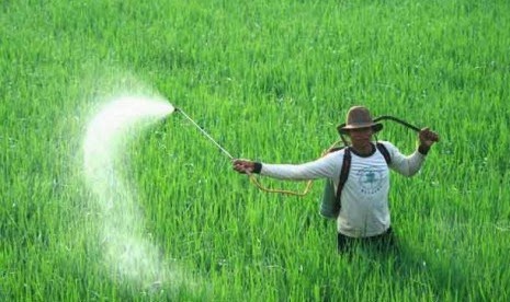 nduesoo: PETANI MERUPAKAN PROFESI TERBAIK DAN UTAMA