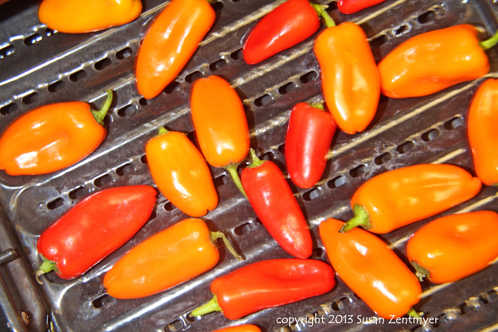 Love from the Kitchen Roasted Peppers