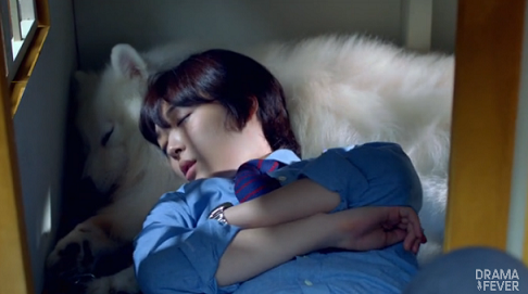 Foto bij 09 kans op een kamer