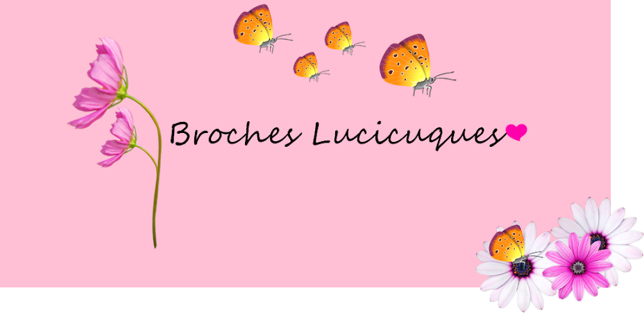 Broches  Lucicuques